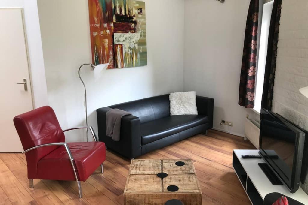Rustig Gelegen Bungalow In Mooi Havelte Zewnętrze zdjęcie