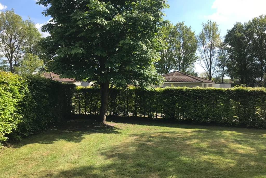 Rustig Gelegen Bungalow In Mooi Havelte Zewnętrze zdjęcie