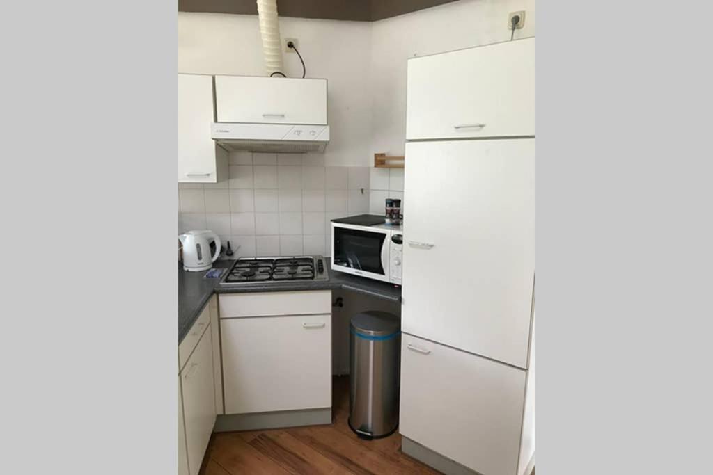Rustig Gelegen Bungalow In Mooi Havelte Zewnętrze zdjęcie