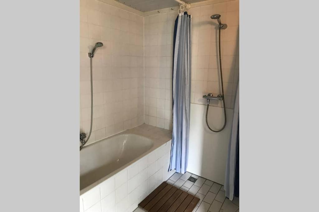 Rustig Gelegen Bungalow In Mooi Havelte Zewnętrze zdjęcie