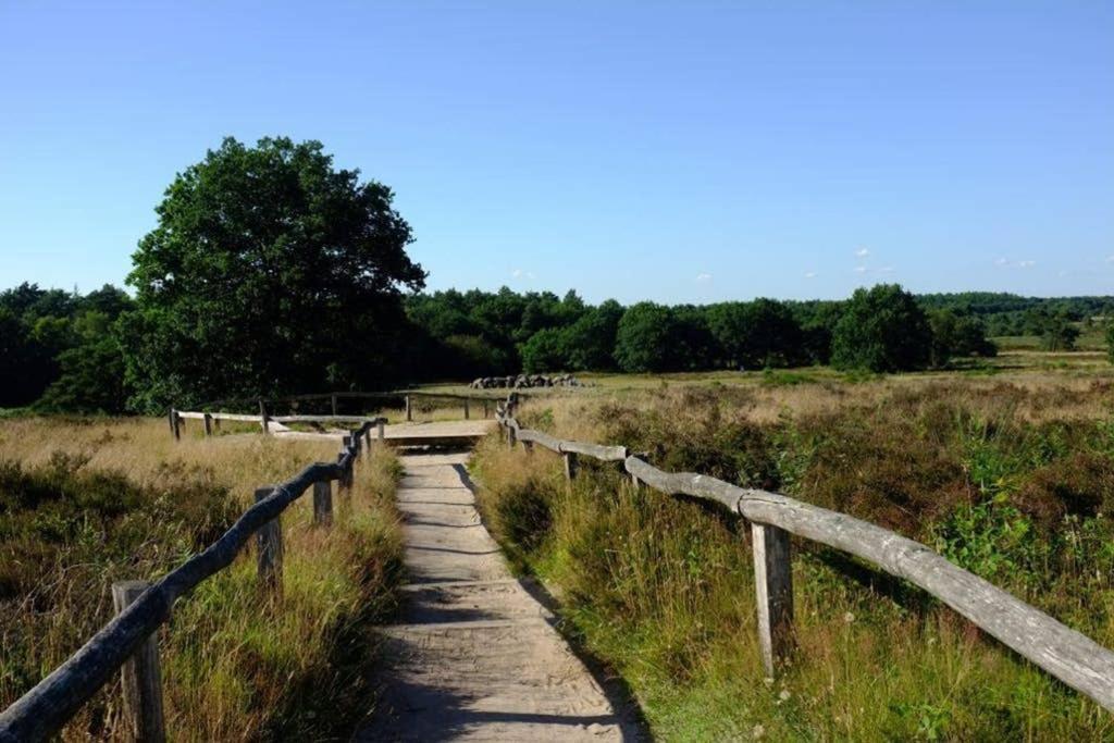 Rustig Gelegen Bungalow In Mooi Havelte Zewnętrze zdjęcie